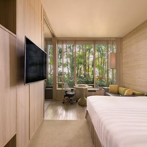 Lifestyle King Room